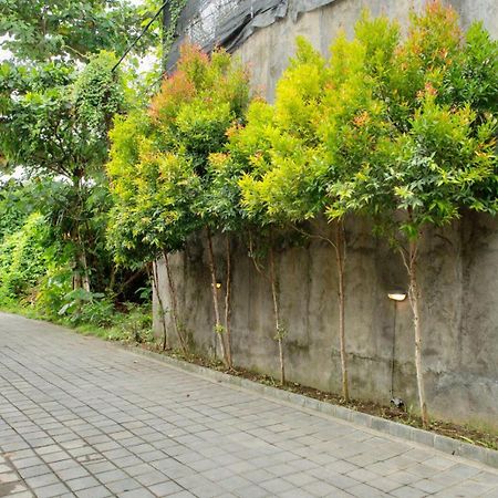 A7 Guesthouse Canggu  Ngoại thất bức ảnh