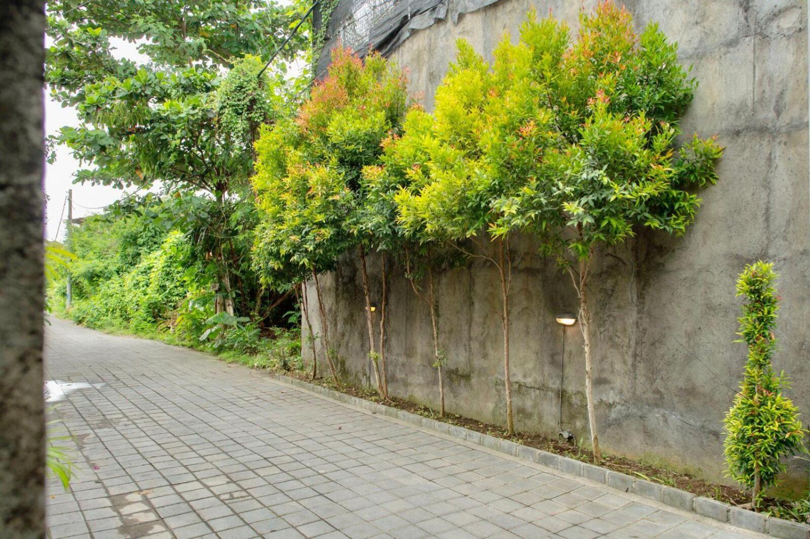 A7 Guesthouse Canggu  Ngoại thất bức ảnh